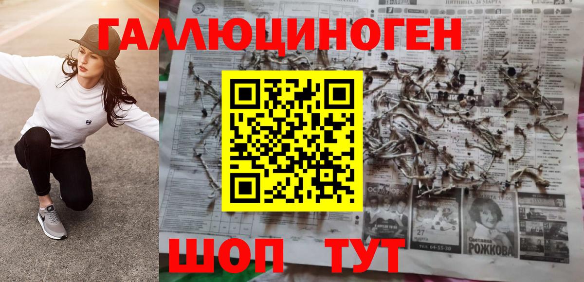 Выкса  Псилоцибиновые грибы GOLDEN TEACHER  Вход с VPN 