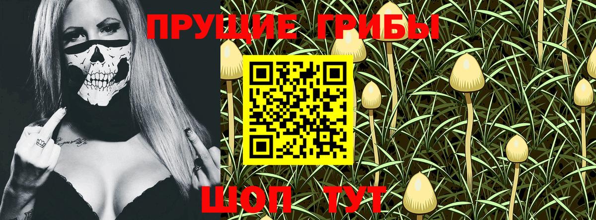 Галлюциногенные грибы Psilocybe Выкса